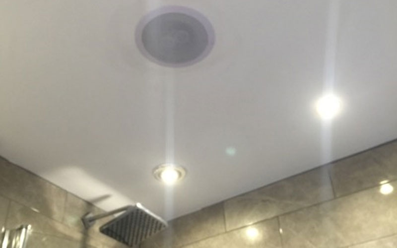 Bluetooth Speaker in shower